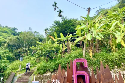 馬年行大運！　大坑步道特色滿點 登頂保證「龍馬」精神