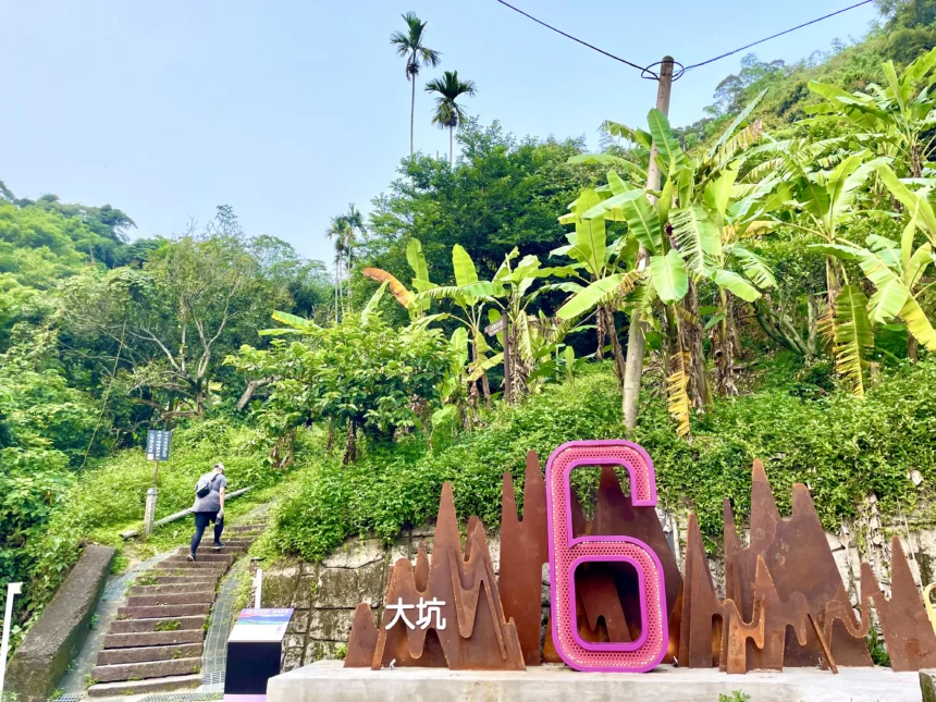 馬年行大運！　大坑步道特色滿點 登頂保證「龍馬」精神