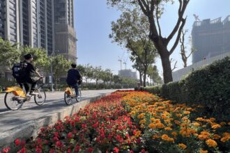 2026新年走春好去處！台中道路、公園繽紛蒔花妝點城市景觀