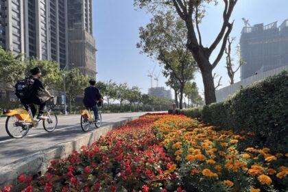 2026新年走春好去處！台中道路、公園繽紛蒔花妝點城市景觀
