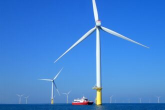 離岸風場成海洋綠洲　海大研究證實臺灣風機魚礁具備生態保育效益