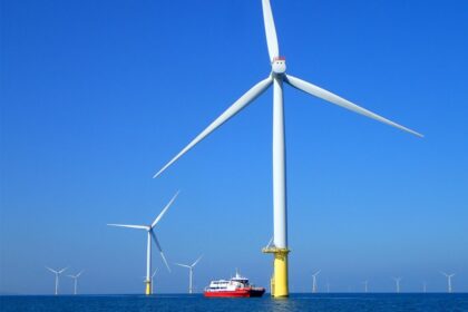 離岸風場成海洋綠洲　海大研究證實臺灣風機魚礁具備生態保育效益