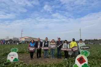 梧棲「57蘿蔔日」熱鬧登場　農趣拔蘿蔔迎新年、體驗在地農業文化