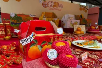 「雲林好禮揪柑心」北上推廣　茂谷柑搶攻年節市場