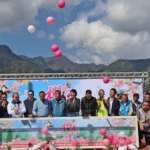 最美茶鄉櫻花季登場！信義草坪頭4,000棵櫻花迎賓　縣長許淑華邀您春節來南投賞花、泡湯、看燈會