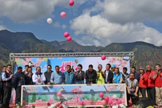 最美茶鄉櫻花季登場！信義草坪頭4,000棵櫻花迎賓　縣長許淑華邀您春節來南投賞花、泡湯、看燈會