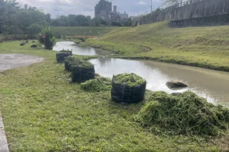 防洪升級　大溝溪生態治水園區完成清疏