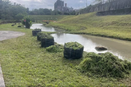 防洪升級　大溝溪生態治水園區完成清疏
