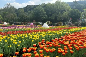 台北燈節2/25璀璨登場　首推雙展區、雙IP亮相西門町與圓山