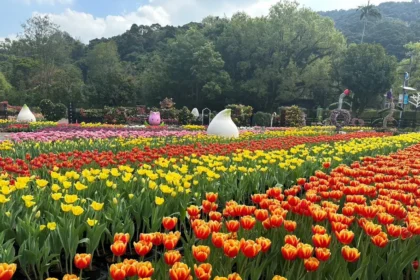 台北燈節2/25璀璨登場　首推雙展區、雙IP亮相西門町與圓山