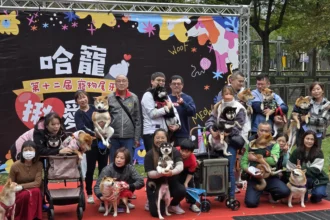 年前最暖尾牙！北市「寵物尾牙」市集熱鬧登場　免費健診、疫苗守護毛孩迎新年