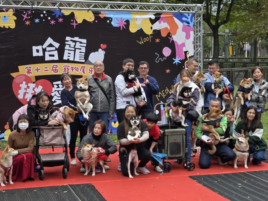 年前最暖尾牙！北市「寵物尾牙」市集熱鬧登場　免費健診、疫苗守護毛孩迎新年