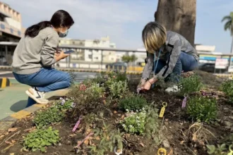 高雄區監理所推「預約早苗」快閃活動　汽燃費約扣結合減碳永續　提前達標種下100棵樹　