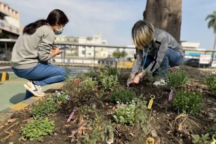 高雄區監理所推「預約早苗」快閃活動　汽燃費約扣結合減碳永續　提前達標種下100棵樹　
