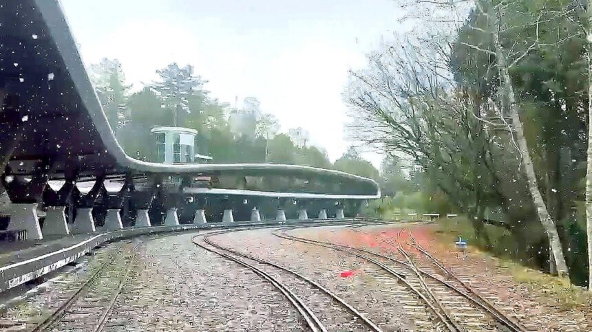 初雪灑落阿里山　罕見月光雲海美景浪漫登場　入住指定房型享8折優惠