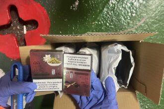 汪汪隊立大功　海巡偵搜犬「Huston」嗅出郵包電子煙彈