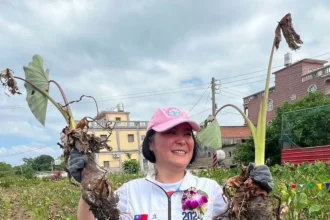 金門縣長選戰陳玉珍民調輾壓　賴清德不放棄卻苦無人選