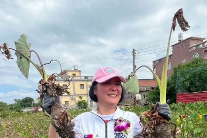 金門縣長選戰陳玉珍民調輾壓　賴清德不放棄卻苦無人選