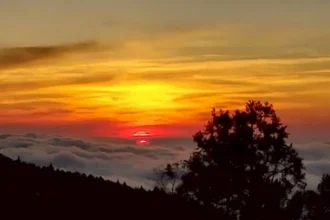 海拔2274米的療癒假期　入住阿里山賓館　獨享日出雲海與千年森林