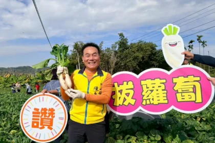 拔得新年好彩頭　竹山鎮親子拔蘿蔔體驗　寓教於樂