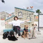 北香湖公園雙設施啟用　嘉義市邁向全齡共享、友善宜居城市