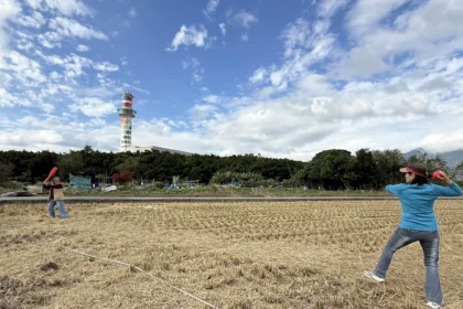 台北五分港溪畔的洲美農地 享受自然的奔跑快樂的棒球遊戲