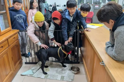 湖田實小三肢校犬「安生」進駐校長室　打造校園溫暖生命教育