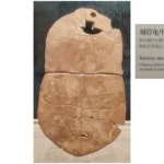 文字會變，文化不變；每一個時代文字的形體變化/《國學專欄》岸先生說文字（八）