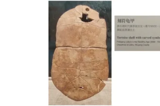 文字會變，文化不變；每一個時代文字的形體變化/《國學專欄》岸先生說文字（八）