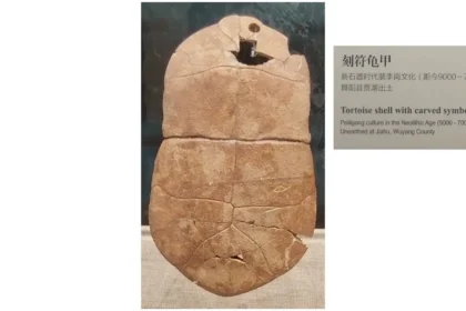 文字會變，文化不變；每一個時代文字的形體變化/《國學專欄》岸先生說文字（八）