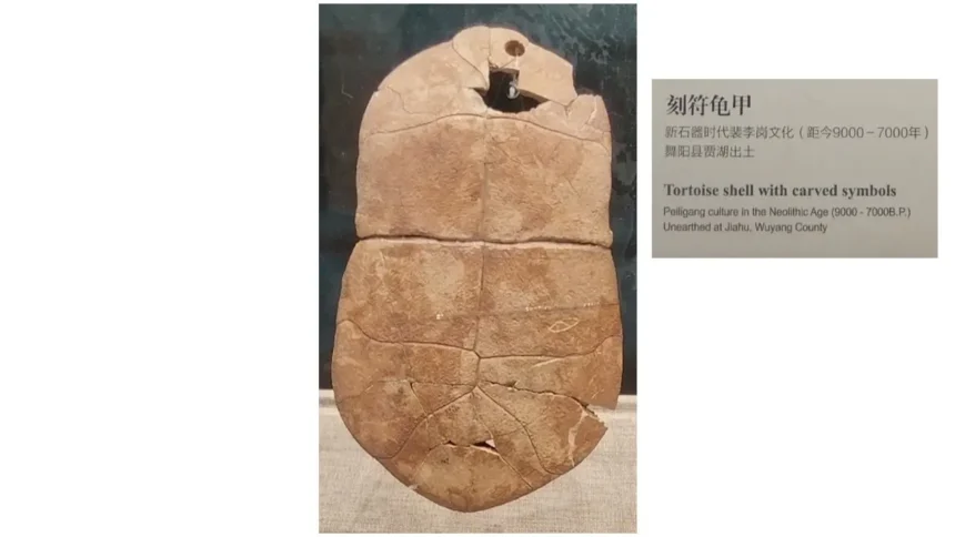 文字會變，文化不變；每一個時代文字的形體變化/《國學專欄》岸先生說文字（八）