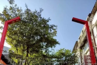 走進年節西門町　徒步區林蔭成最美背景