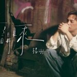 楊琳 Yang Lin 蟄伏三年 靠羅志祥力挺贈金句撐過人生谷底