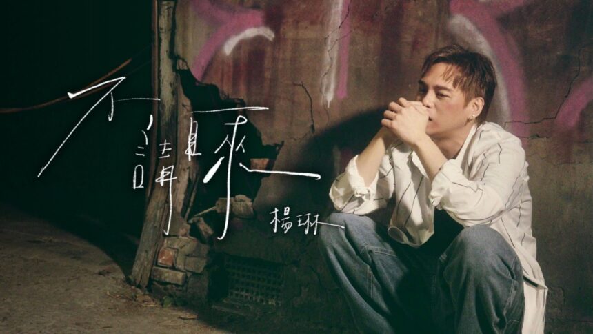 楊琳 Yang Lin 蟄伏三年 靠羅志祥力挺贈金句撐過人生谷底