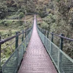 115年玉山東部園區　碳足瓦拉米步道字跡尋寶活動