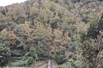 115年玉山東部園區　碳足瓦拉米步道字跡尋寶活動