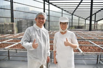 最高補助10萬元！「職務再設計」助中高齡員工上班變輕鬆