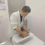 115年春節不打烊寵物服務5,666隻、急難救援94件　守護毛孩健康過好年！