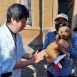 台中動保處深入偏鄉辦理寵物巡迴注射　守護毛孩健康