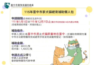 115年中市家犬貓絕育補助開放受理申請　動保處：經費有限請盡早申請