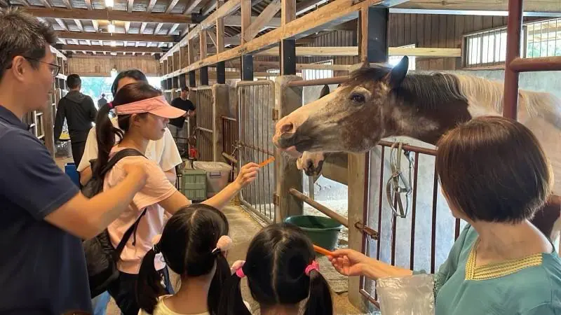 馬年走春　逛后里馬場賞櫻花、騎鐵馬迎新年