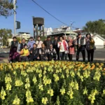 台中遍地開花迎新春！　21條道路、29處公園花海綻放　大里阿罩霧、塗城公園春意最搶眼