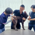 春節期間防疫不停歇！　中市動保處籲畜禽業者持續落實防疫措施 平安過好年