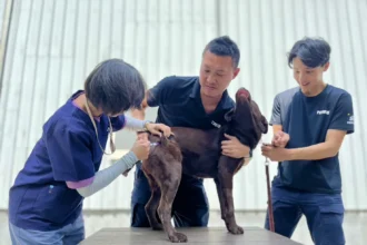 春節期間防疫不停歇！　中市動保處籲畜禽業者持續落實防疫措施 平安過好年