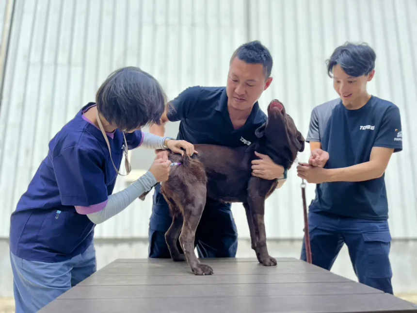 春節期間防疫不停歇！　中市動保處籲畜禽業者持續落實防疫措施 平安過好年