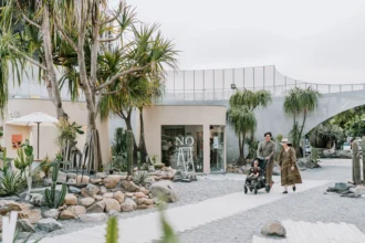 迎農曆新年　台中春節旅遊優惠與營運時間一次掌握