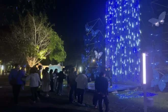 2026中台灣燈會農業局「動物夢世界」主題活動日開跑　名額有限快來報名！