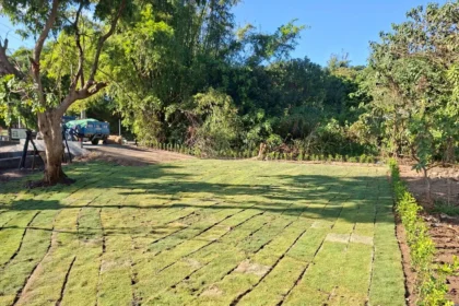 打造友善休憩起點　知高圳步道入口綠美化空間啟用