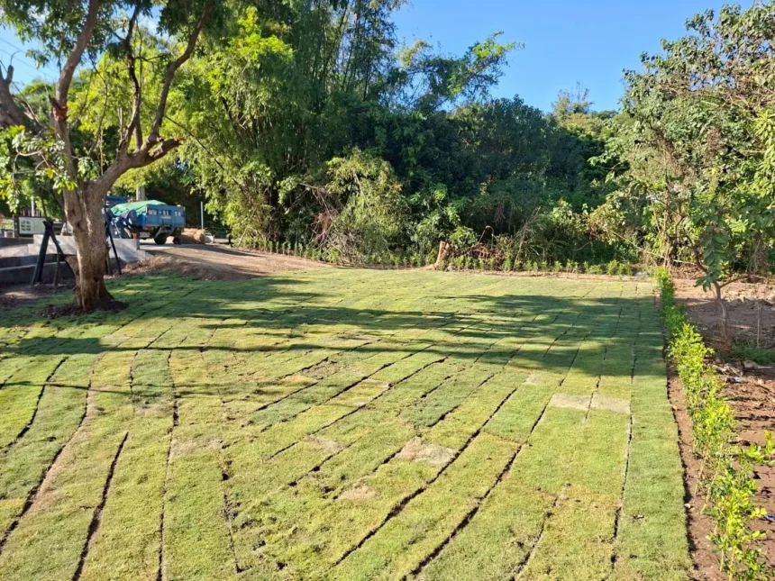 打造友善休憩起點　知高圳步道入口綠美化空間啟用