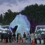 2026中台灣燈會「驚蟄界」人氣爆棚！　建設局打造沉浸式光影體驗邀您走進奇幻春天森林